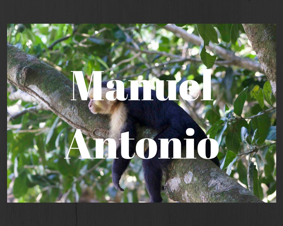 Manuel Antonio | Les Aventures de Floriane