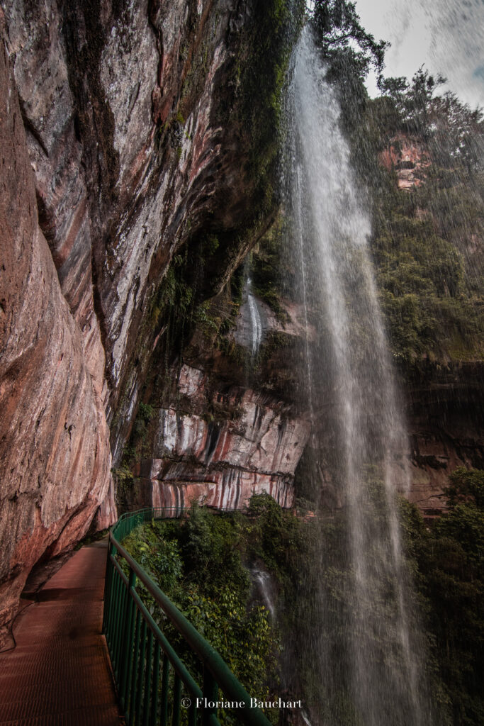 Swallow rock - 燕子岩景区 - chishui