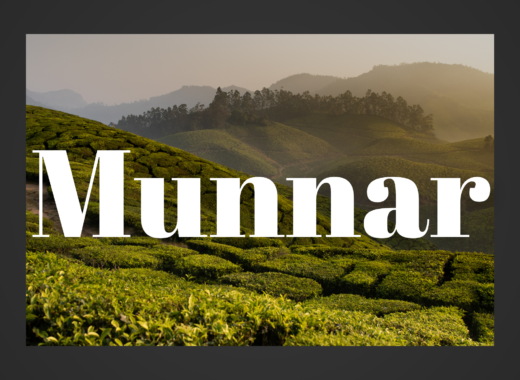 visiter munnar