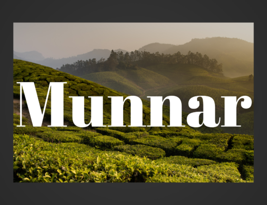 visiter munnar