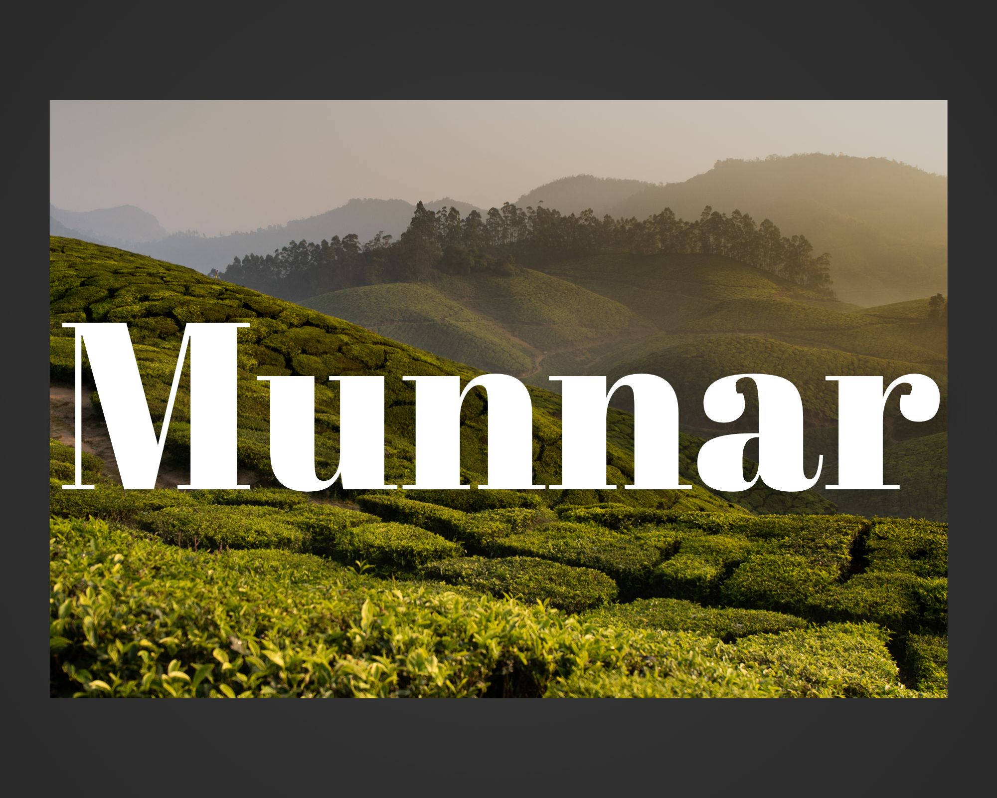 visiter munnar