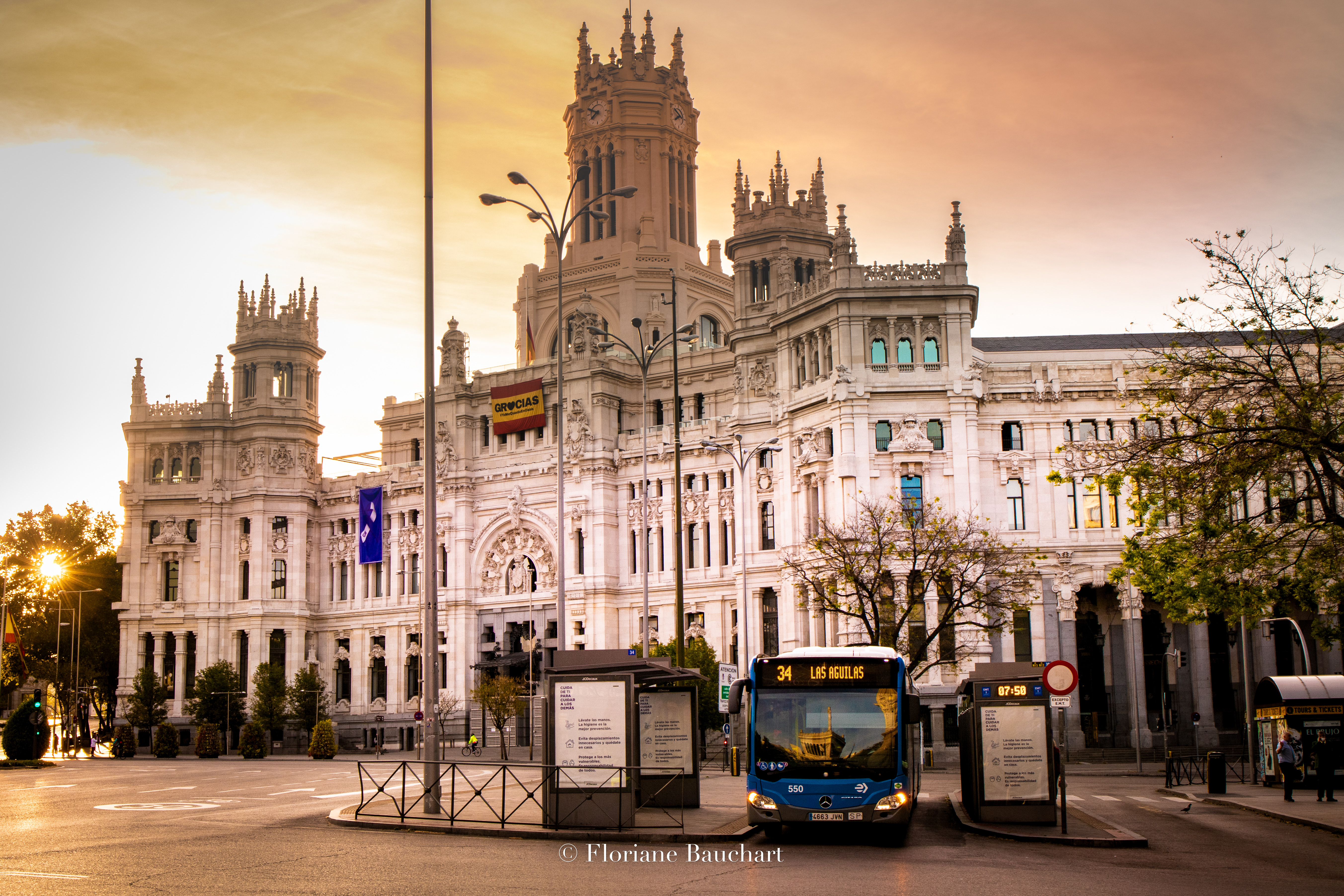 madrid cibeles