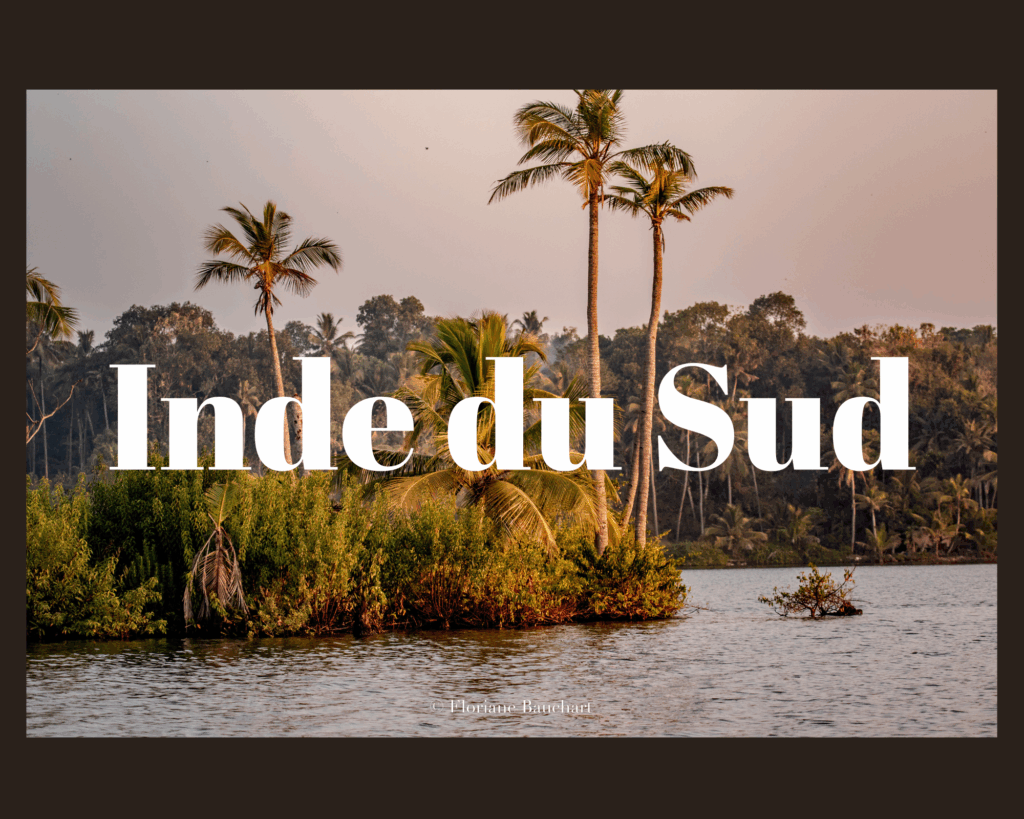 Inde du sud
