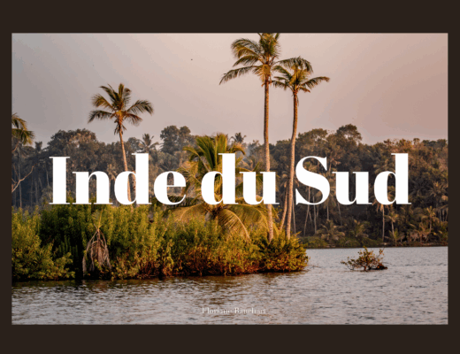 Inde du sud