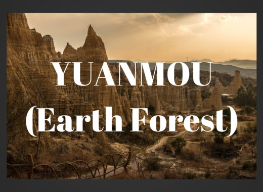 Yuanmou Earth Forest