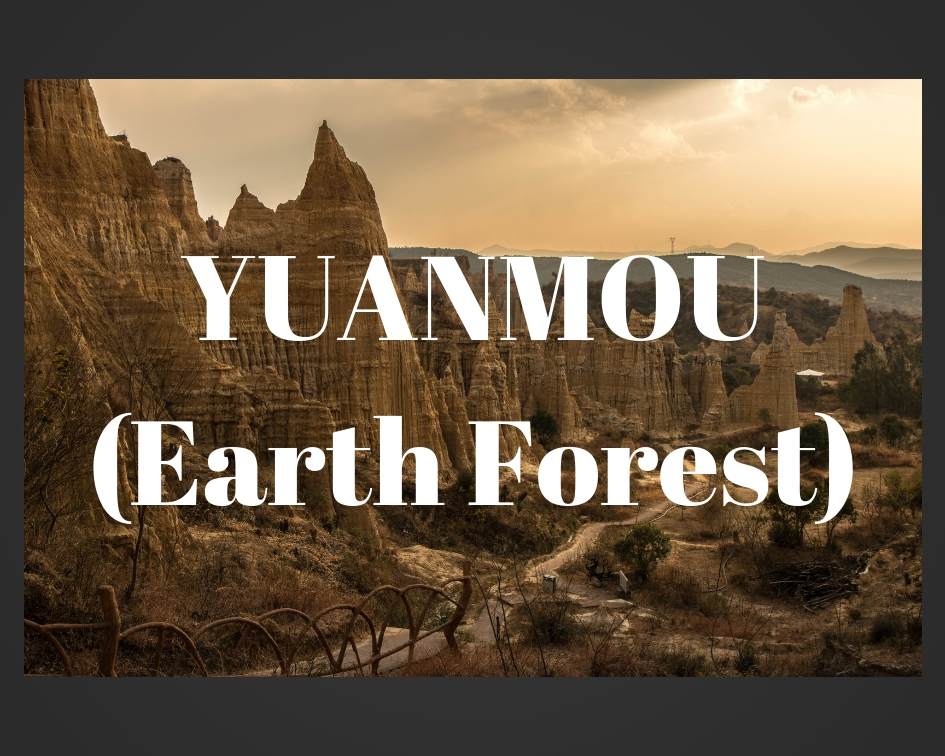Yuanmou Earth Forest