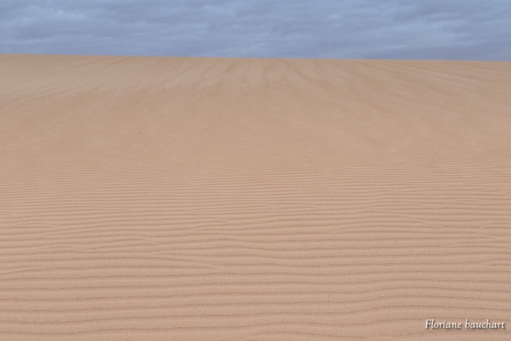 les dunes de corralejos fuerteventura